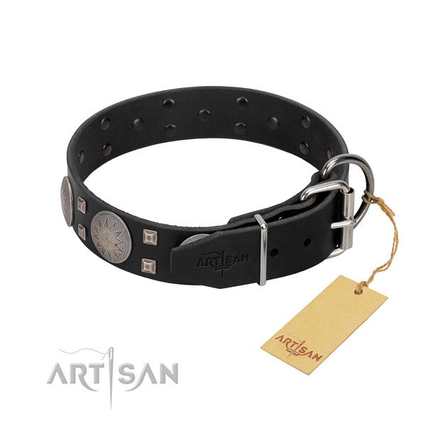 Exquisite leather dog collar for walking in style your four-legged friend