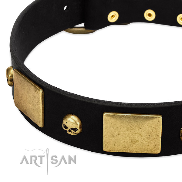 Adorned natural leather collar for your handsome dog
