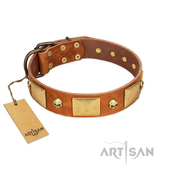 Top rate natural leather dog collar with corrosion proof embellishments