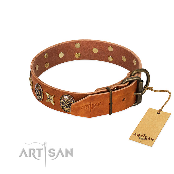Genuine leather dog collar with rust resistant hardware and embellishments
