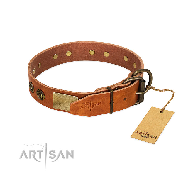 Strong traditional buckle on leather collar for daily walking your dog