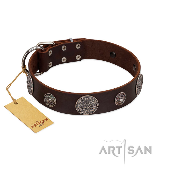 Incredible leather collar for your impressive doggie