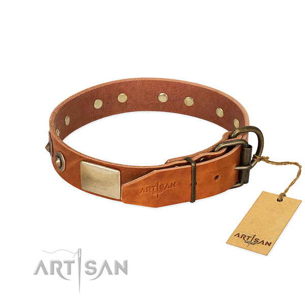 Rust-proof fittings on basic training dog collar