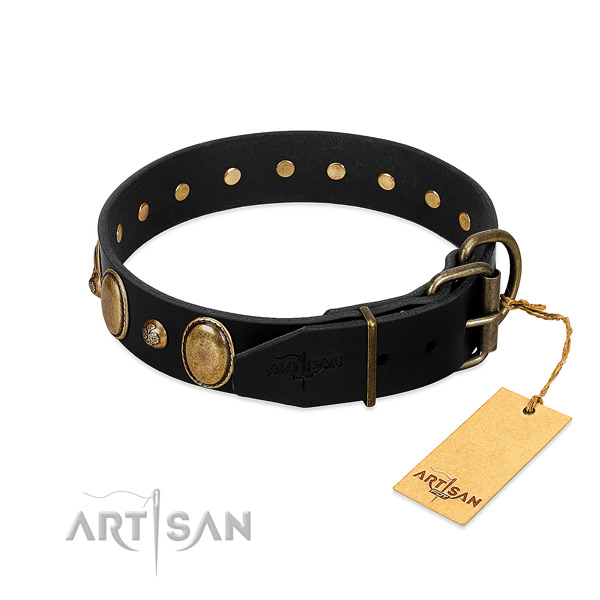Rust resistant traditional buckle on full grain genuine leather collar for fancy walking your canine