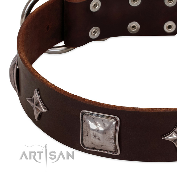 Daily walking full grain leather dog collar with amazing adornments