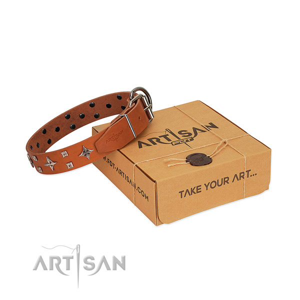 Trendy genuine leather collar for your canine walking