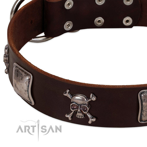 Reliable fittings on leather dog collar