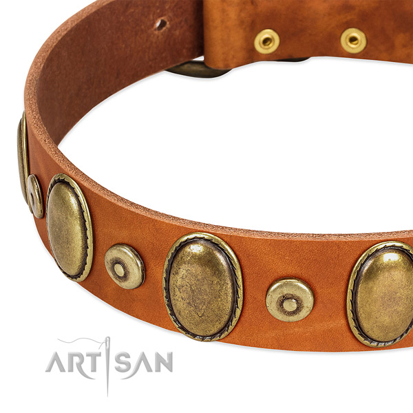 Adorned natural genuine leather collar for your beautiful dog