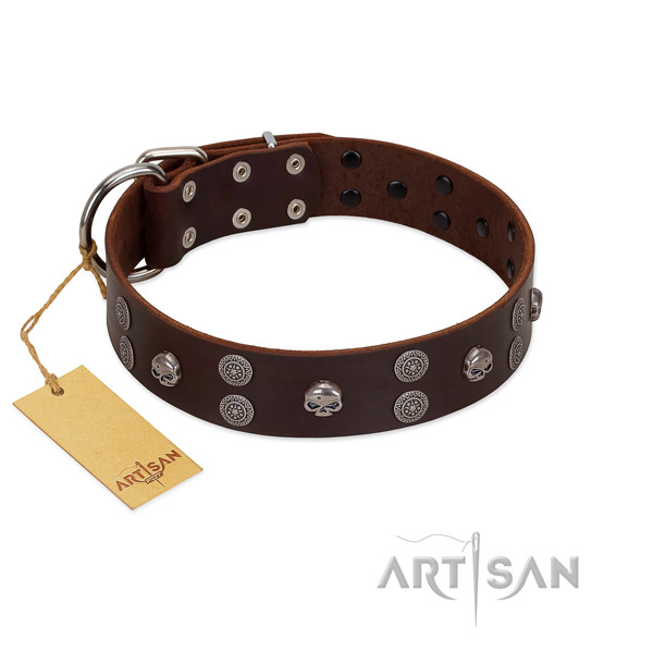 Comfy wearing studded full grain natural leather collar for your pet