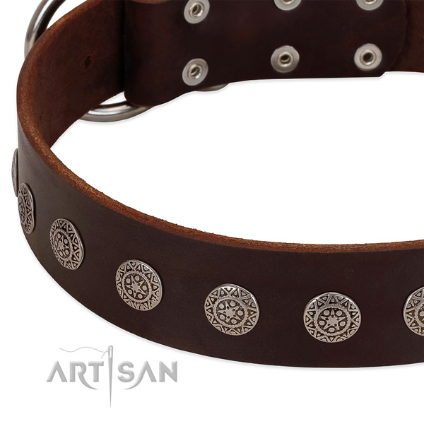 Awesome dog collar of genuine leather with embellishments