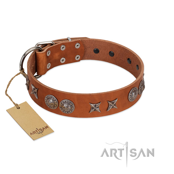 Leather collar with remarkable studs for your pet