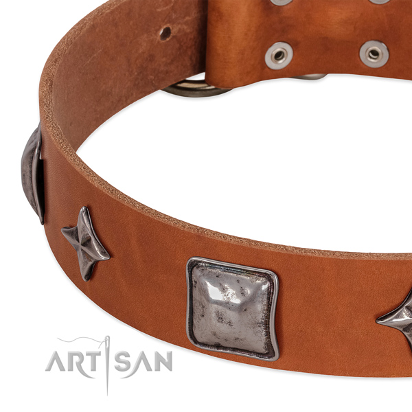 Gentle to touch leather dog collar with strong buckle