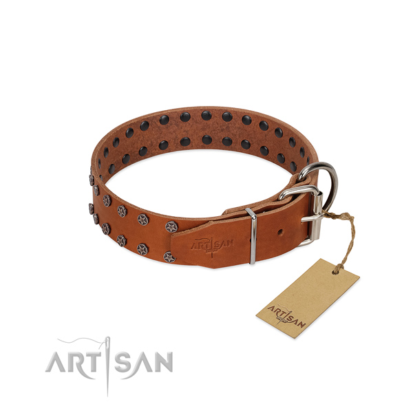 Soft full grain genuine leather dog collar with adornments for your four-legged friend