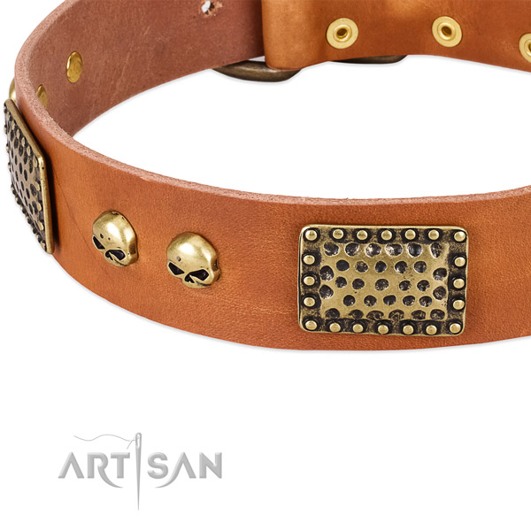 Rust-proof traditional buckle on full grain leather dog collar for your dog