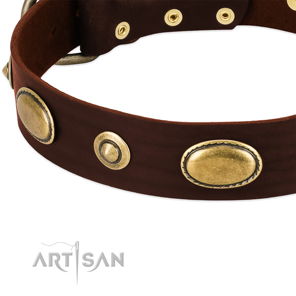 Corrosion resistant hardware on leather dog collar for your pet