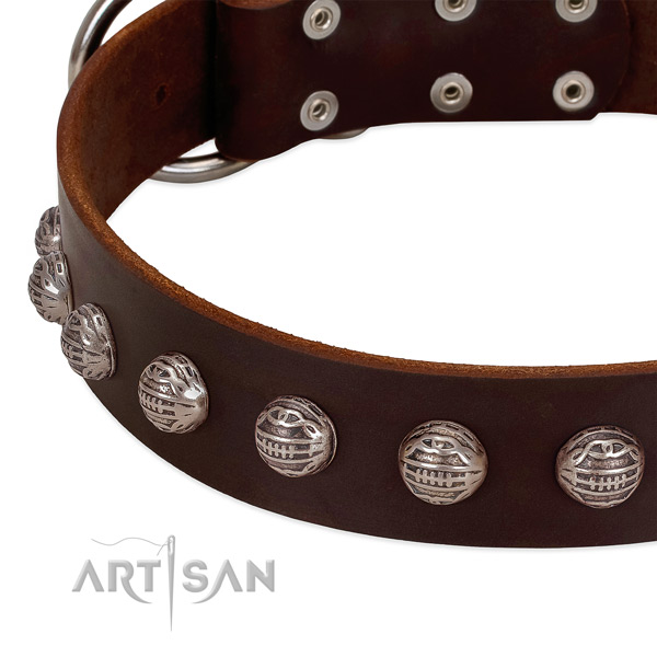Natural leather collar with stylish design adornments for your doggie
