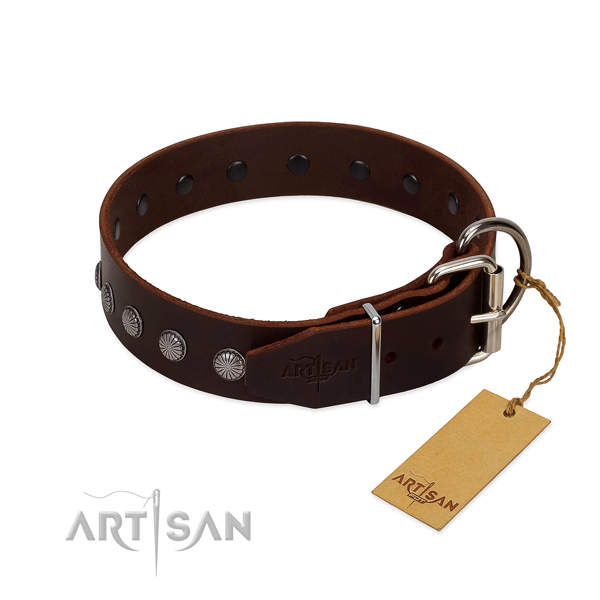 Genuine leather dog collar with exquisite embellishments handmade four-legged friend