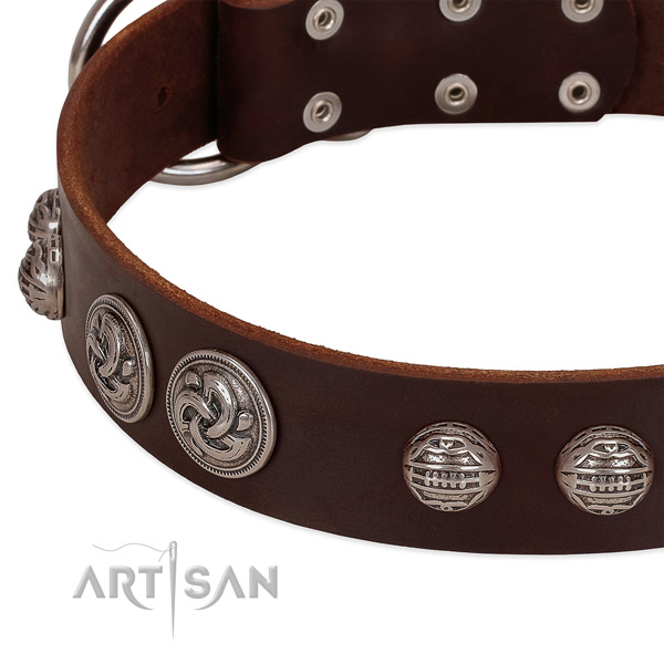 Reliable fittings on leather collar for fancy walking your pet