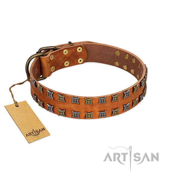 Soft to touch leather dog collar with decorations for your pet