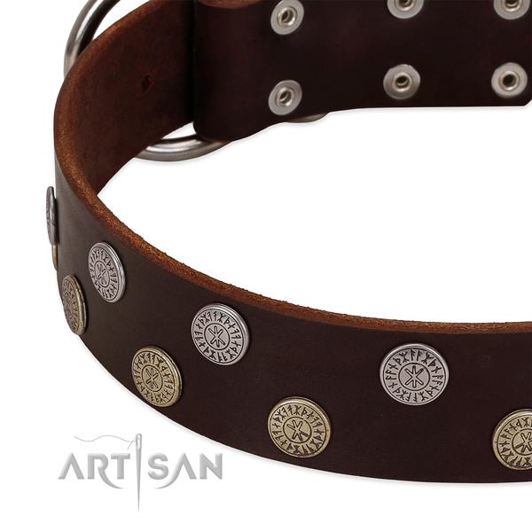 Soft to touch natural leather dog collar with adornments for your attractive pet