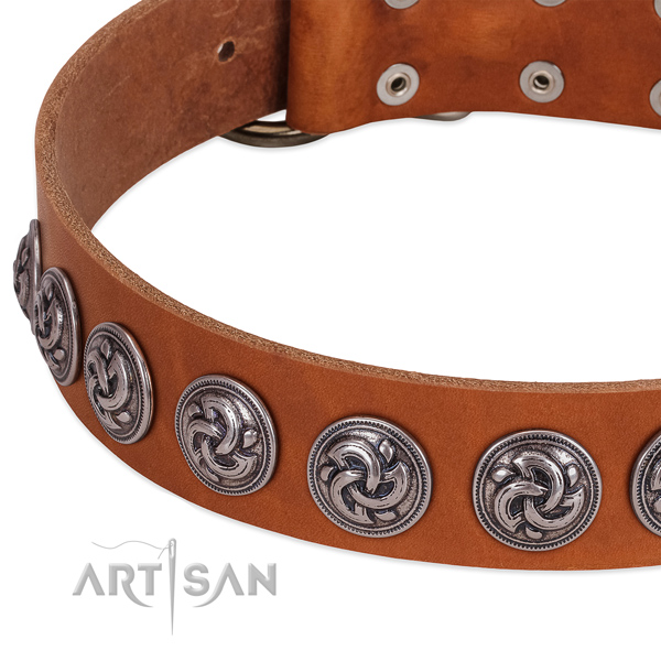 Stunning genuine leather collar for your canine everyday walking