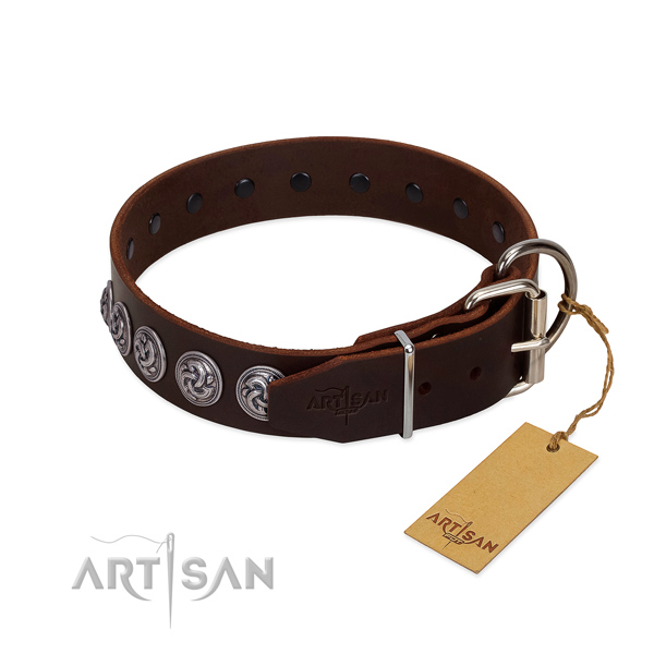 Durable fittings on leather dog collar for walking your pet