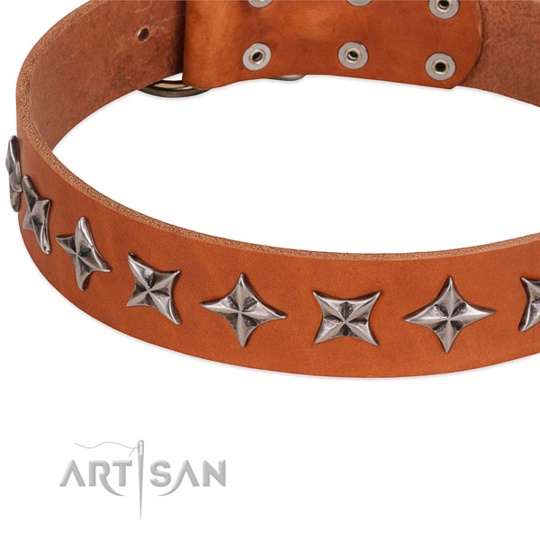 Everyday use studded dog collar of best quality full grain natural leather