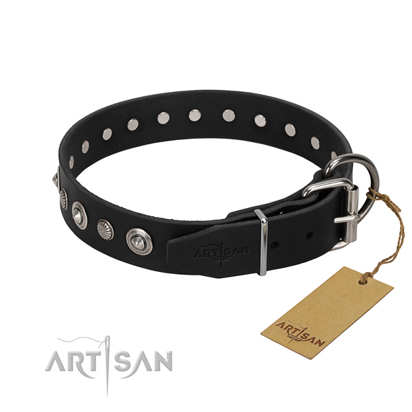 Finest quality full grain natural leather dog collar with inimitable embellishments