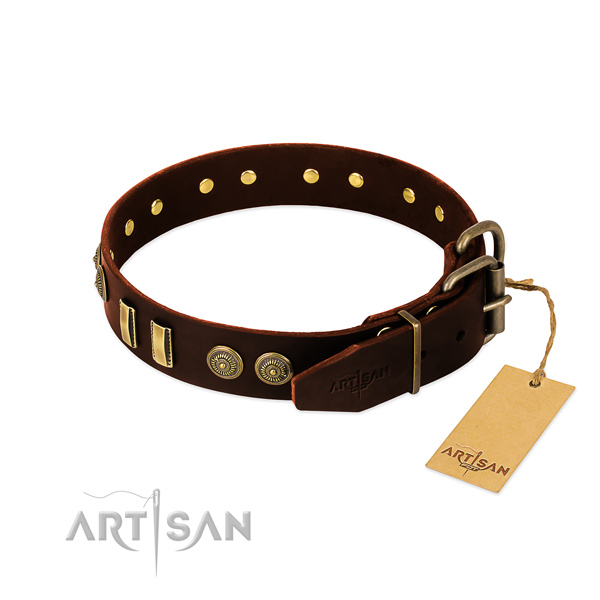 Rust resistant adornments on full grain leather dog collar for your dog