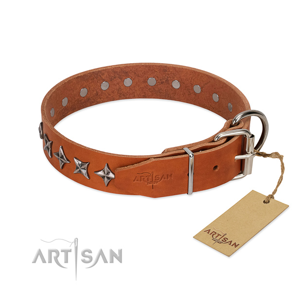 Everyday walking adorned dog collar of best quality natural leather