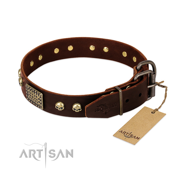 Rust resistant embellishments on comfy wearing dog collar