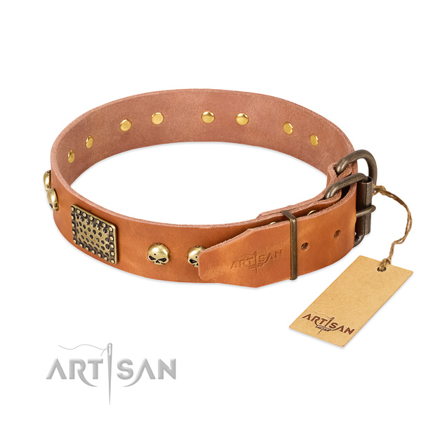 Rust resistant buckle on easy wearing dog collar