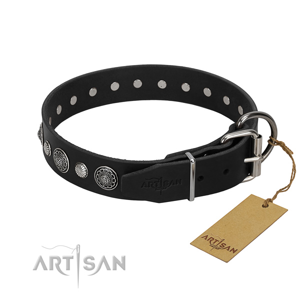 Fine quality full grain natural leather dog collar with fashionable adornments