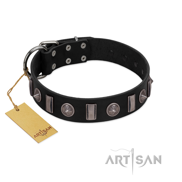 Top rate leather dog collar with studs for fancy walking