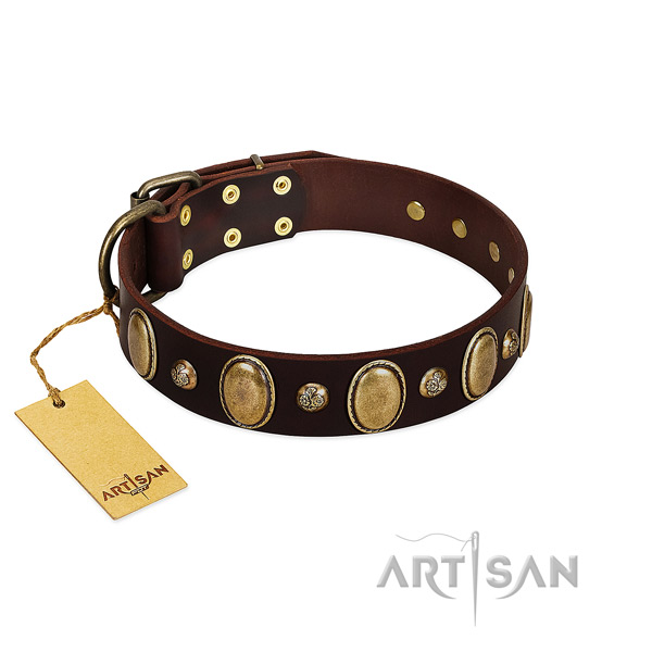 Genuine leather dog collar of quality material with stunning studs