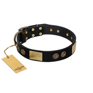 "Chicci-Glam" FDT Artisan Black Leather German Shepherd Collar with Plates and Ornate Studs