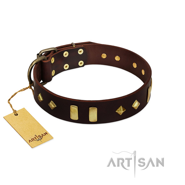 Full grain natural leather dog collar with reliable hardware for walking