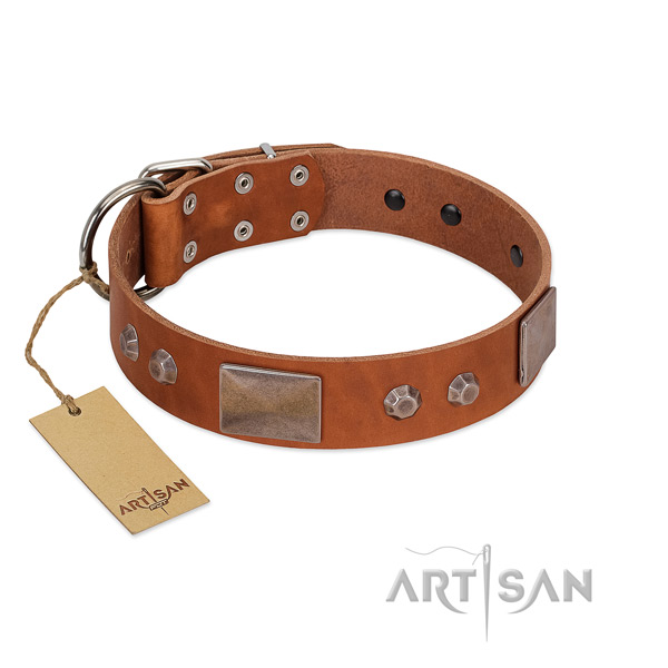 Adjustable genuine leather dog collar with corrosion proof traditional buckle