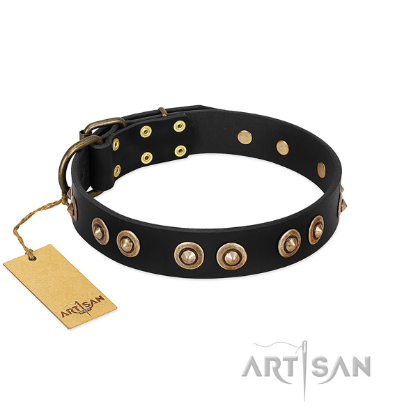 Corrosion resistant studs on leather dog collar for your canine