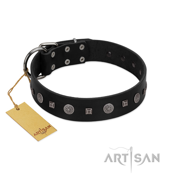 Amazing collar of natural leather for your handsome four-legged friend