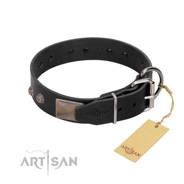 Extraordinary full grain leather dog collar for everyday walking your canine