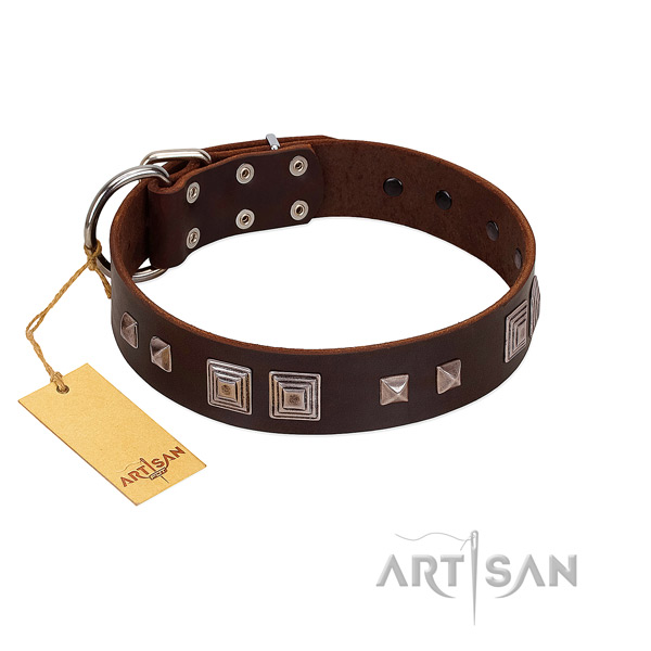 Strong buckle on full grain leather dog collar for basic training