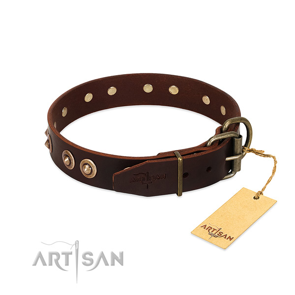 Corrosion resistant adornments on full grain leather dog collar for your four-legged friend