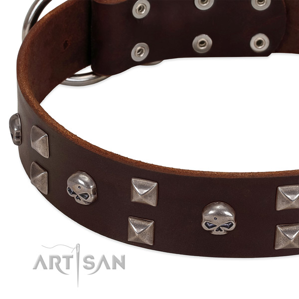 Top notch full grain leather dog collar created for your four-legged friend
