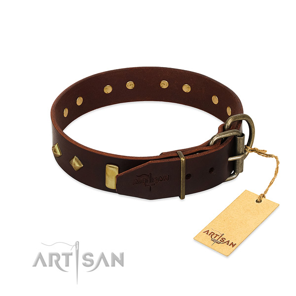 Natural leather dog collar with rust resistant fittings for easy wearing