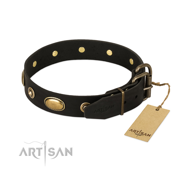 Reliable studs on natural leather dog collar for your canine