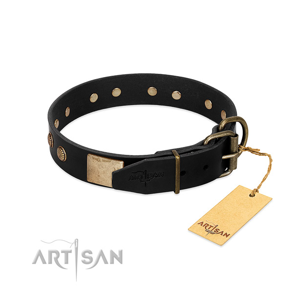 Rust resistant adornments on basic training dog collar