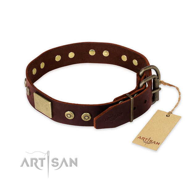 Strong adornments on stylish walking dog collar