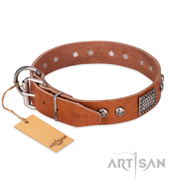 Strong adornments on basic training dog collar