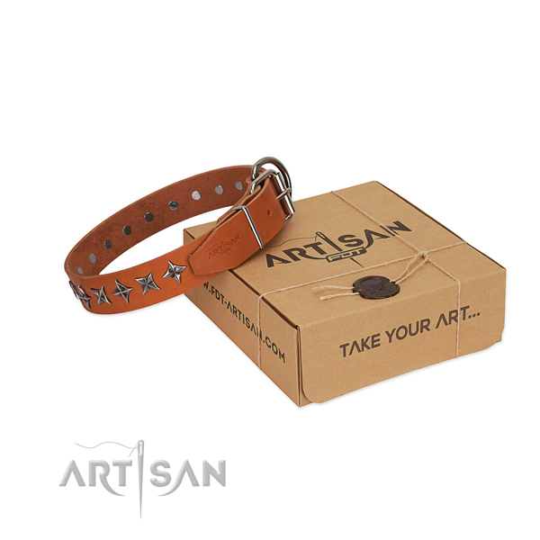 Comfy wearing dog collar of strong full grain natural leather with embellishments